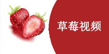 草莓视频国产,本土创新与全球视野的交融